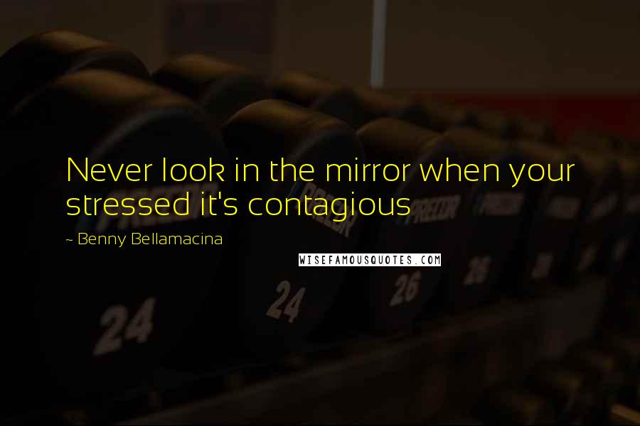 Benny Bellamacina Quotes: Never look in the mirror when your stressed it's contagious