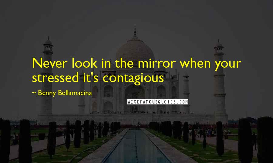 Benny Bellamacina Quotes: Never look in the mirror when your stressed it's contagious