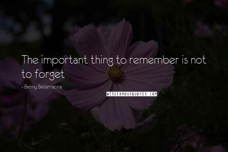 Benny Bellamacina Quotes: The important thing to remember is not to forget