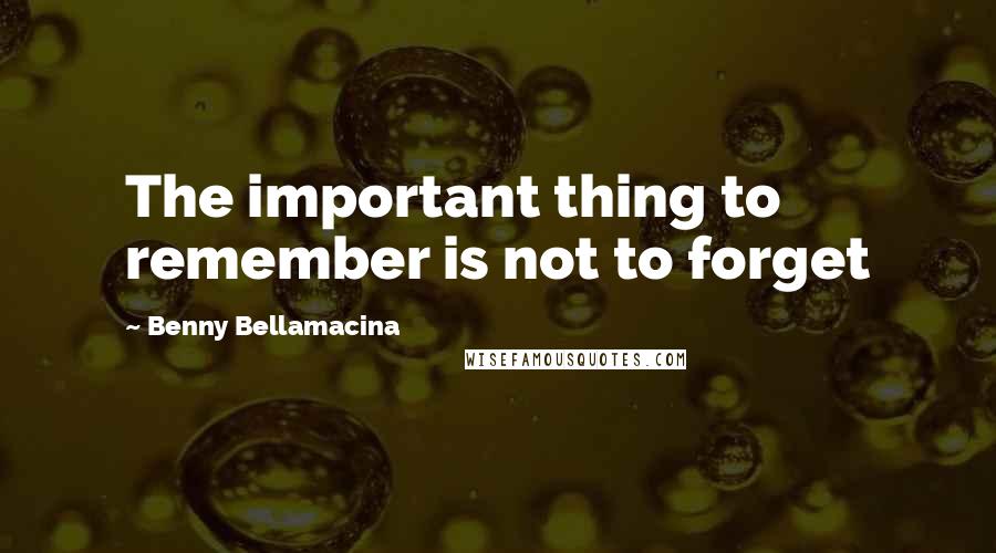Benny Bellamacina Quotes: The important thing to remember is not to forget