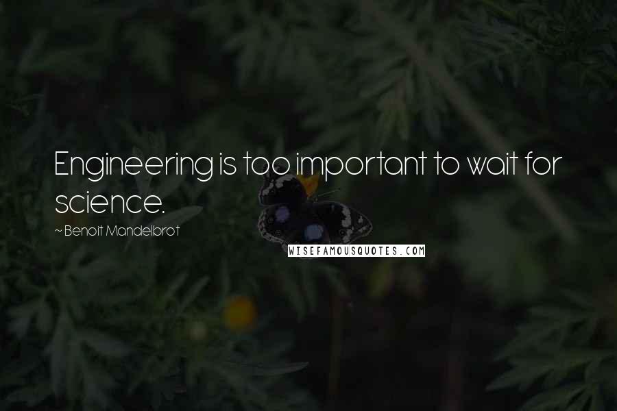 Benoit Mandelbrot Quotes: Engineering is too important to wait for science.