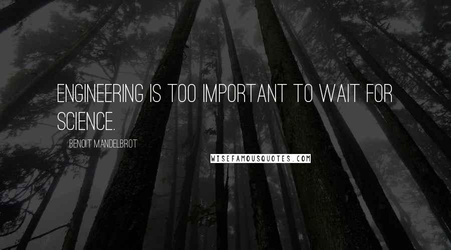 Benoit Mandelbrot Quotes: Engineering is too important to wait for science.