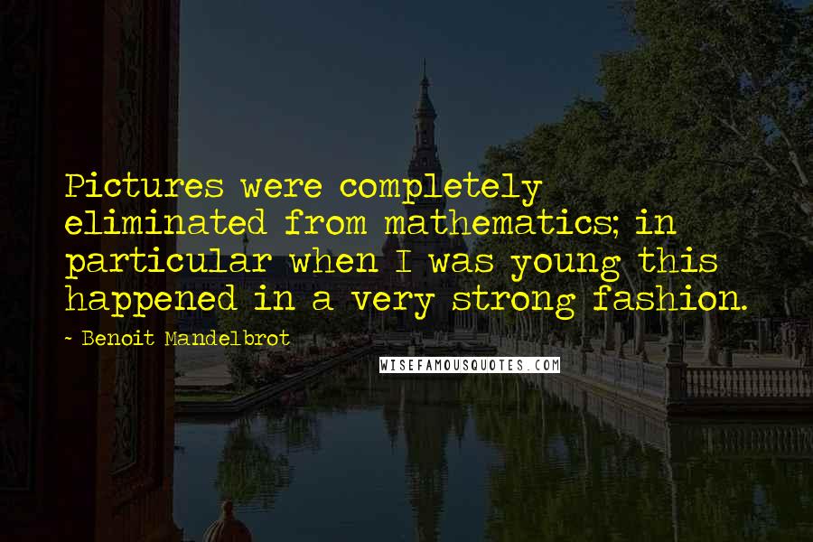 Benoit Mandelbrot Quotes: Pictures were completely eliminated from mathematics; in particular when I was young this happened in a very strong fashion.