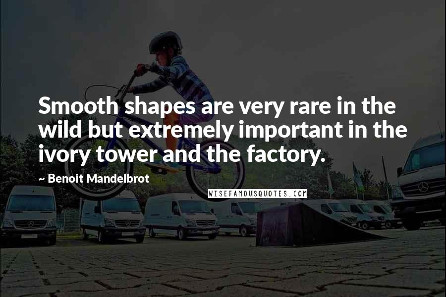 Benoit Mandelbrot Quotes: Smooth shapes are very rare in the wild but extremely important in the ivory tower and the factory.