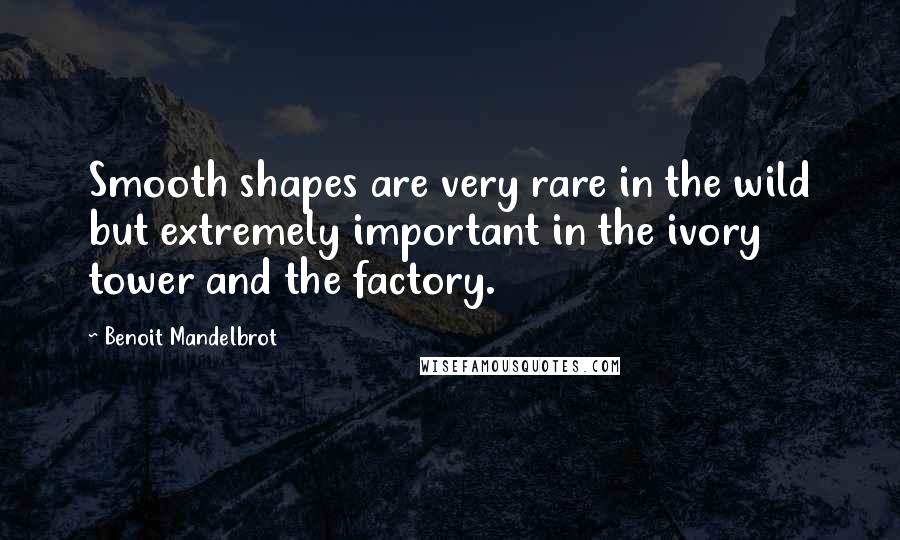 Benoit Mandelbrot Quotes: Smooth shapes are very rare in the wild but extremely important in the ivory tower and the factory.