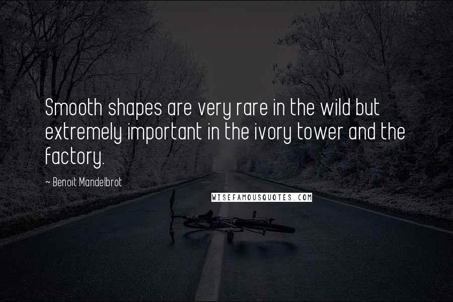 Benoit Mandelbrot Quotes: Smooth shapes are very rare in the wild but extremely important in the ivory tower and the factory.