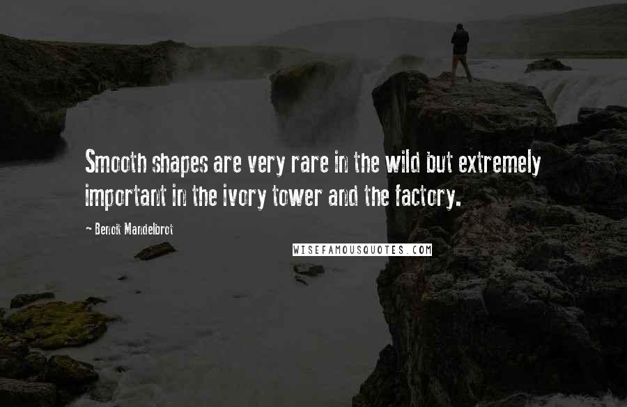 Benoit Mandelbrot Quotes: Smooth shapes are very rare in the wild but extremely important in the ivory tower and the factory.