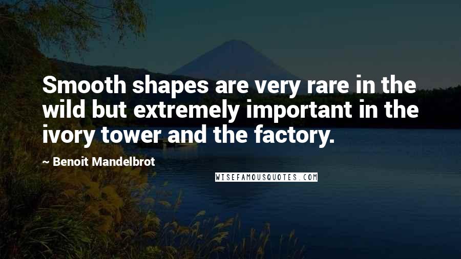 Benoit Mandelbrot Quotes: Smooth shapes are very rare in the wild but extremely important in the ivory tower and the factory.