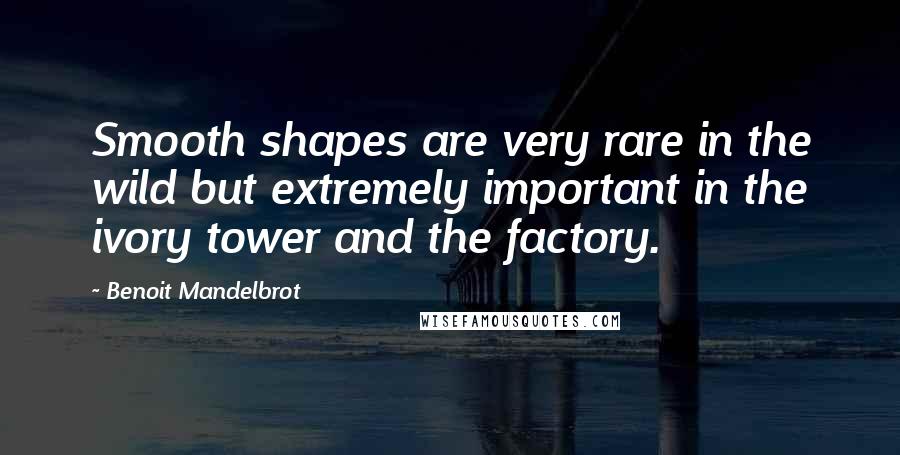 Benoit Mandelbrot Quotes: Smooth shapes are very rare in the wild but extremely important in the ivory tower and the factory.