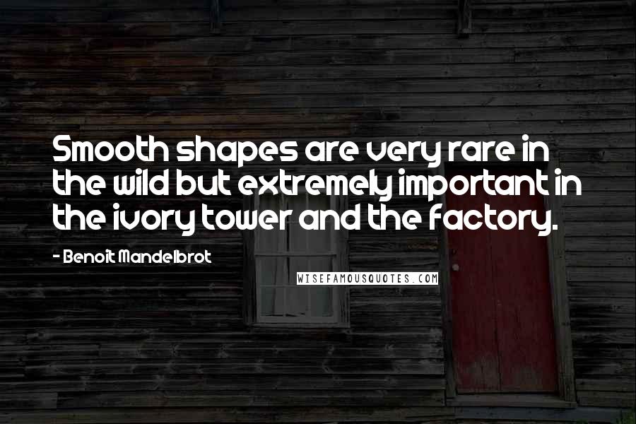 Benoit Mandelbrot Quotes: Smooth shapes are very rare in the wild but extremely important in the ivory tower and the factory.