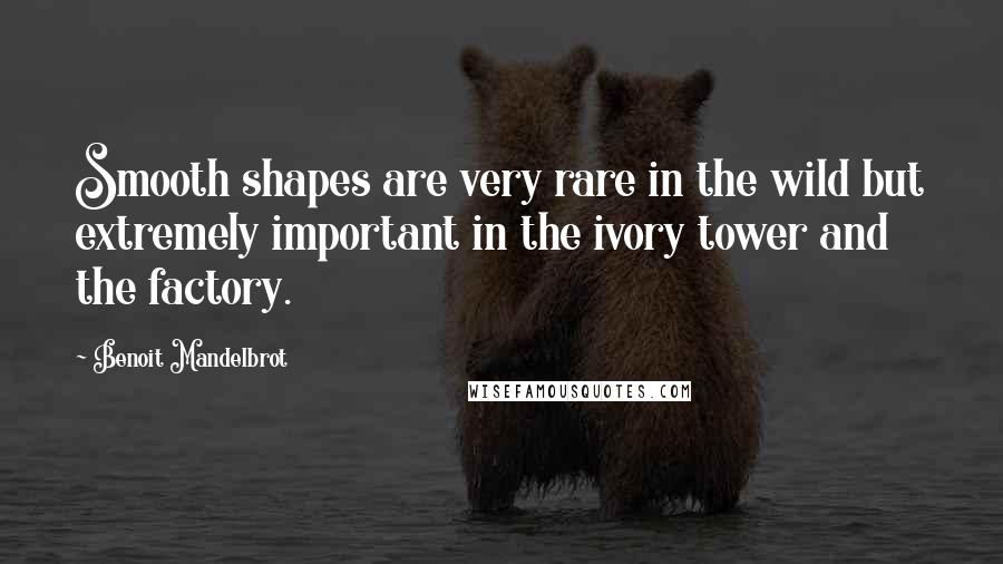 Benoit Mandelbrot Quotes: Smooth shapes are very rare in the wild but extremely important in the ivory tower and the factory.