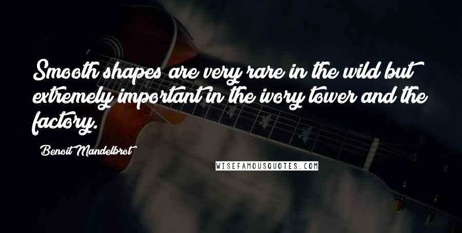 Benoit Mandelbrot Quotes: Smooth shapes are very rare in the wild but extremely important in the ivory tower and the factory.