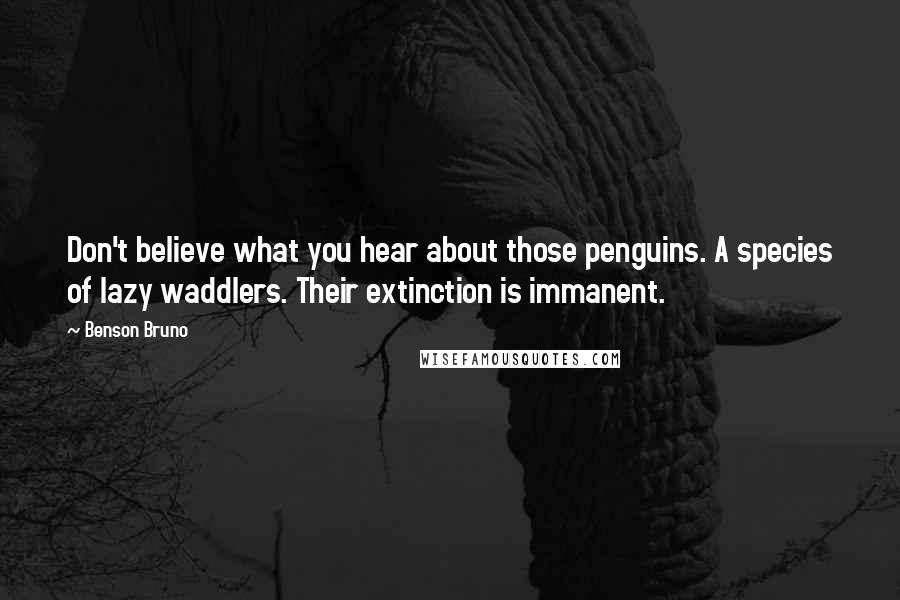 Benson Bruno Quotes: Don't believe what you hear about those penguins. A species of lazy waddlers. Their extinction is immanent.