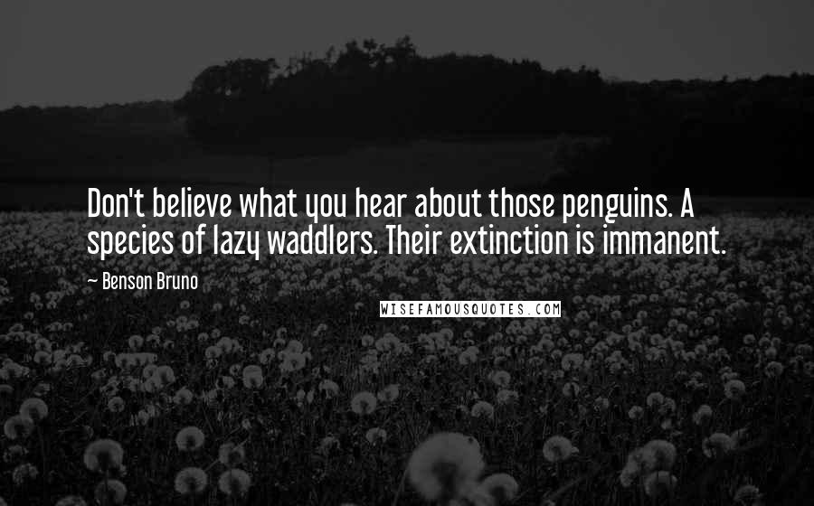 Benson Bruno Quotes: Don't believe what you hear about those penguins. A species of lazy waddlers. Their extinction is immanent.