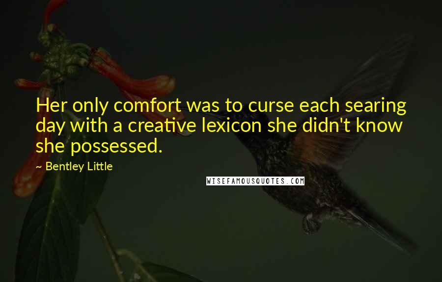 Bentley Little Quotes: Her only comfort was to curse each searing day with a creative lexicon she didn't know she possessed.