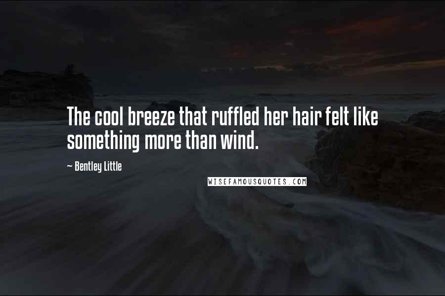 Bentley Little Quotes: The cool breeze that ruffled her hair felt like something more than wind.