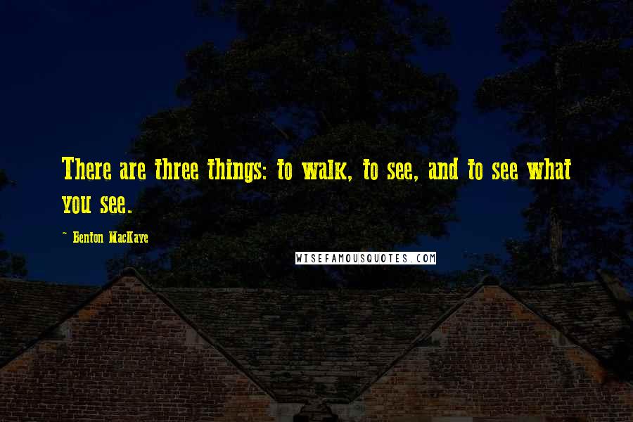 Benton MacKaye Quotes: There are three things: to walk, to see, and to see what you see.