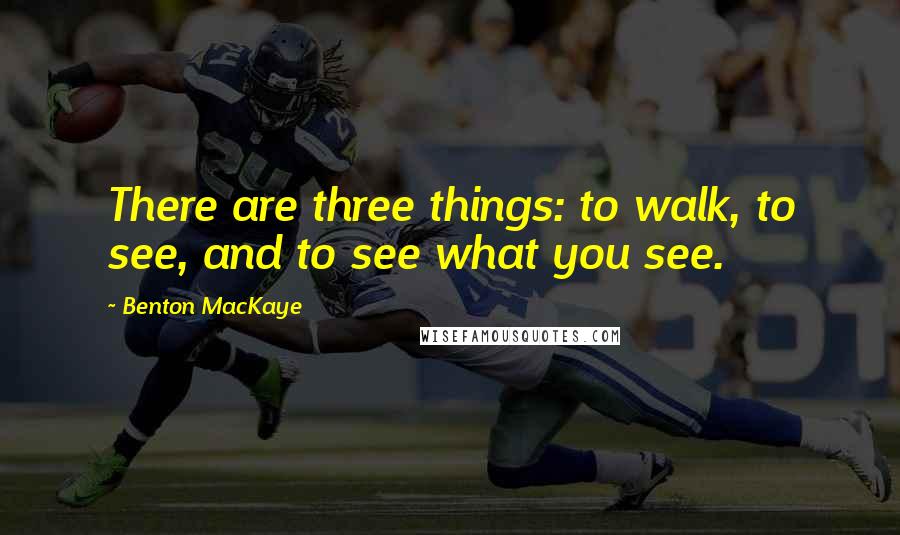 Benton MacKaye Quotes: There are three things: to walk, to see, and to see what you see.