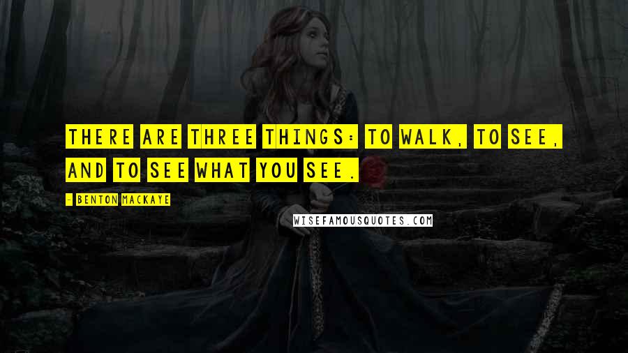 Benton MacKaye Quotes: There are three things: to walk, to see, and to see what you see.