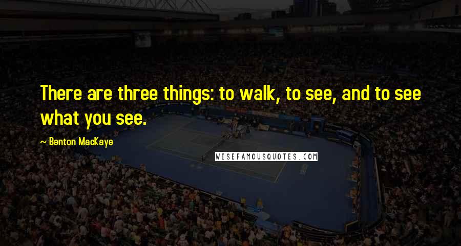 Benton MacKaye Quotes: There are three things: to walk, to see, and to see what you see.