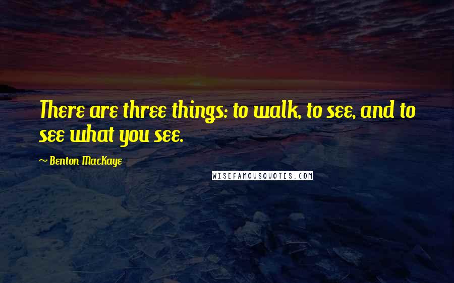 Benton MacKaye Quotes: There are three things: to walk, to see, and to see what you see.