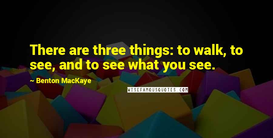 Benton MacKaye Quotes: There are three things: to walk, to see, and to see what you see.