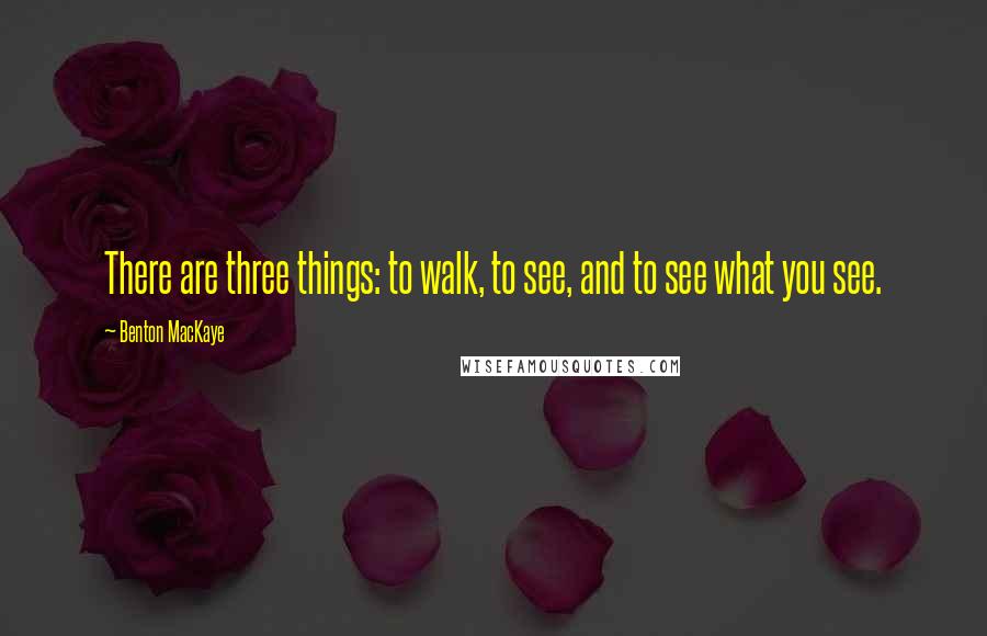 Benton MacKaye Quotes: There are three things: to walk, to see, and to see what you see.