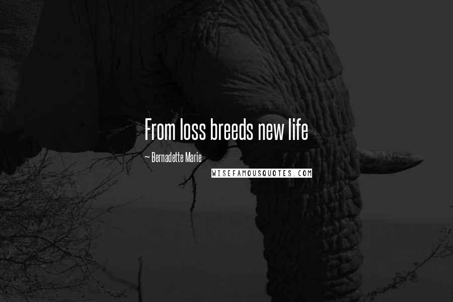 Bernadette Marie Quotes: From loss breeds new life