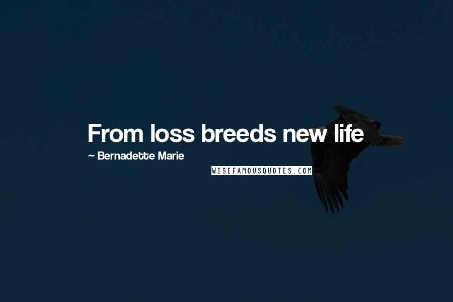 Bernadette Marie Quotes: From loss breeds new life