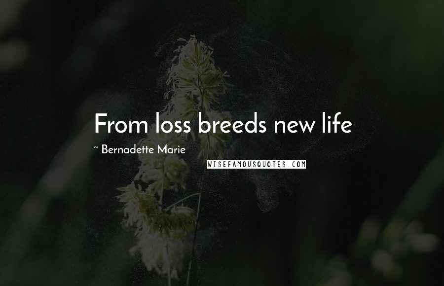 Bernadette Marie Quotes: From loss breeds new life