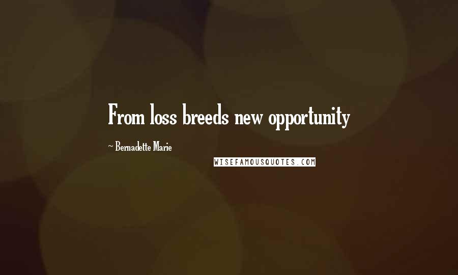 Bernadette Marie Quotes: From loss breeds new opportunity