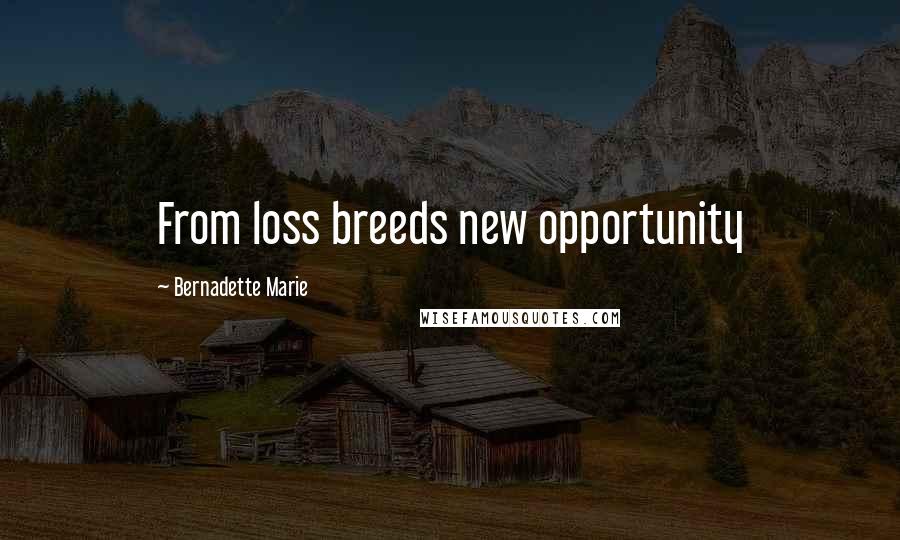 Bernadette Marie Quotes: From loss breeds new opportunity