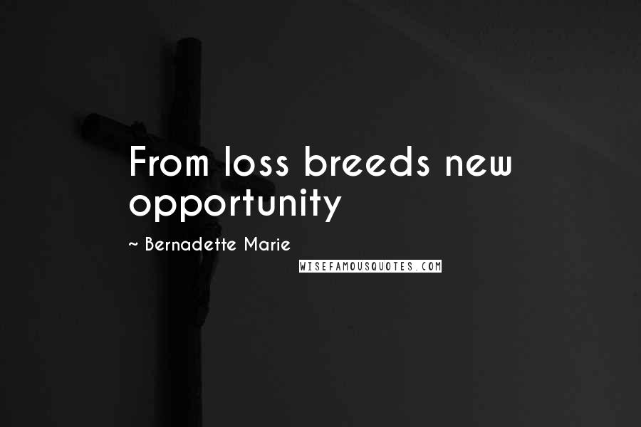 Bernadette Marie Quotes: From loss breeds new opportunity