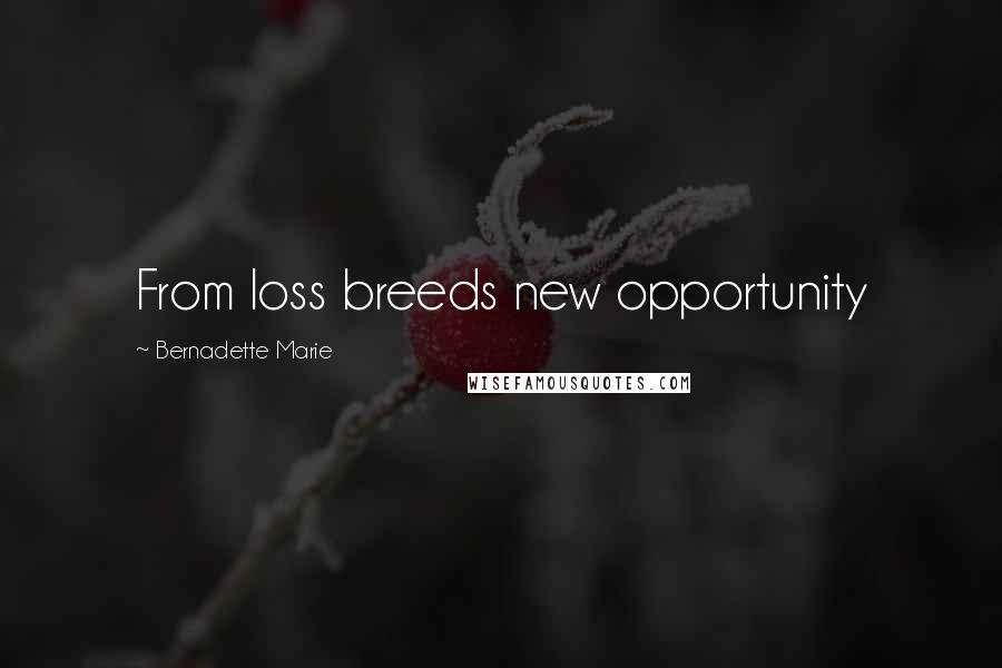 Bernadette Marie Quotes: From loss breeds new opportunity