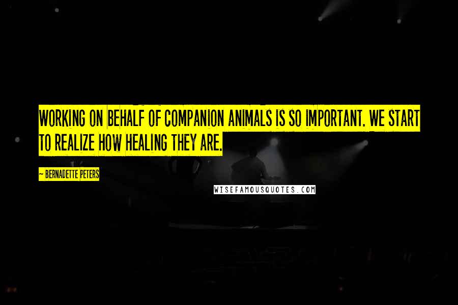 Bernadette Peters Quotes: Working on behalf of companion animals is so important. We start to realize how healing they are.