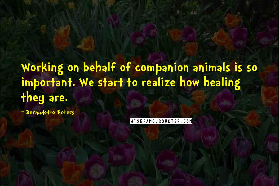 Bernadette Peters Quotes: Working on behalf of companion animals is so important. We start to realize how healing they are.