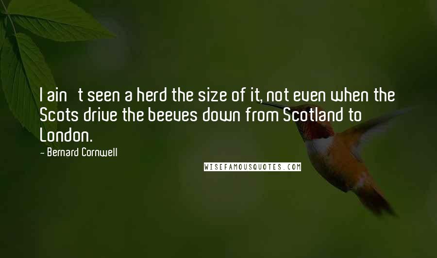 Bernard Cornwell Quotes: I ain't seen a herd the size of it, not even when the Scots drive the beeves down from Scotland to London.