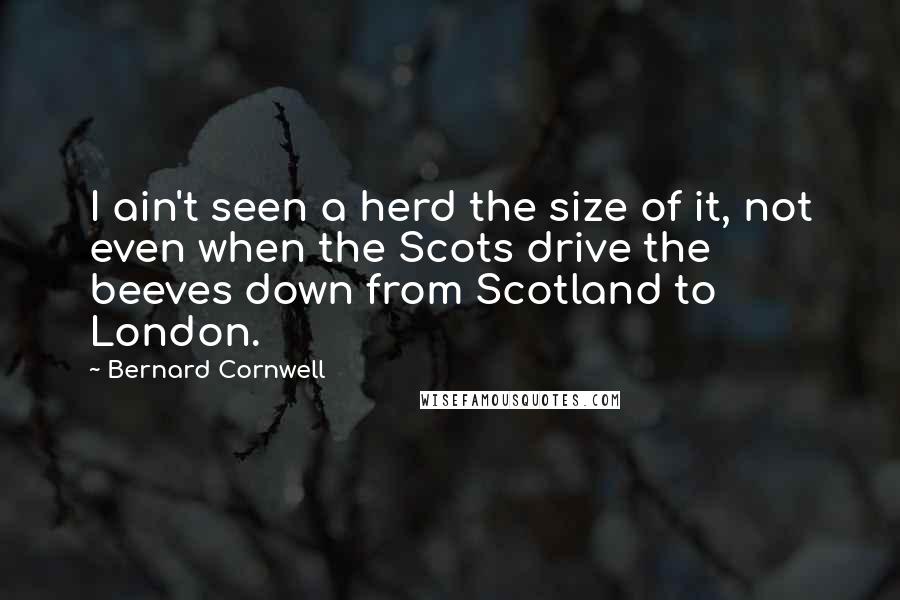 Bernard Cornwell Quotes: I ain't seen a herd the size of it, not even when the Scots drive the beeves down from Scotland to London.