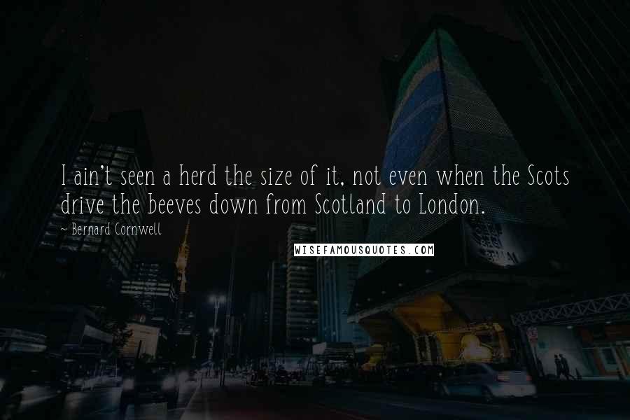 Bernard Cornwell Quotes: I ain't seen a herd the size of it, not even when the Scots drive the beeves down from Scotland to London.