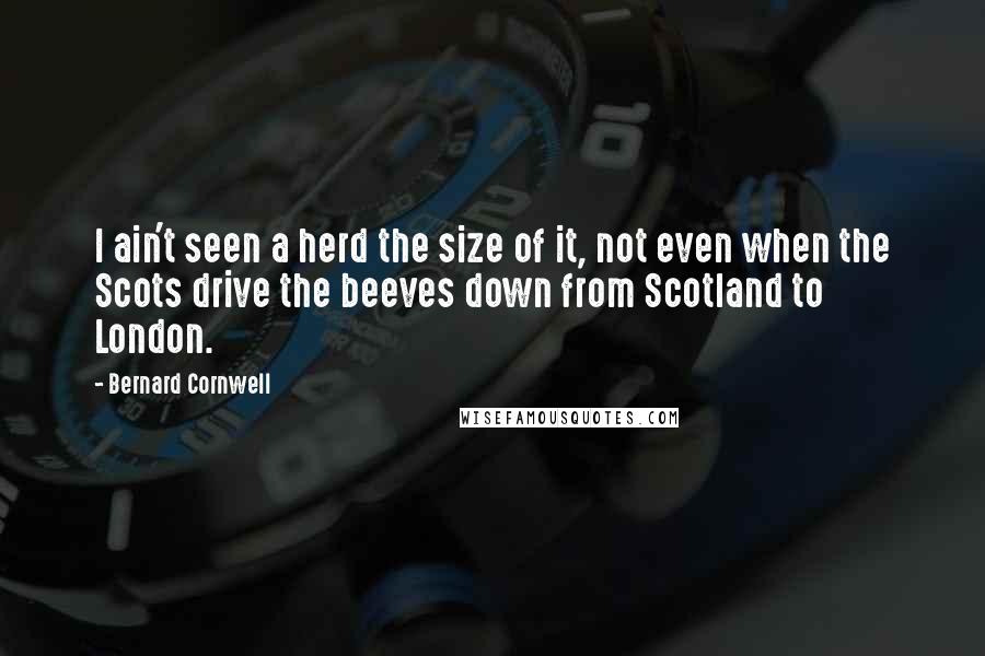 Bernard Cornwell Quotes: I ain't seen a herd the size of it, not even when the Scots drive the beeves down from Scotland to London.