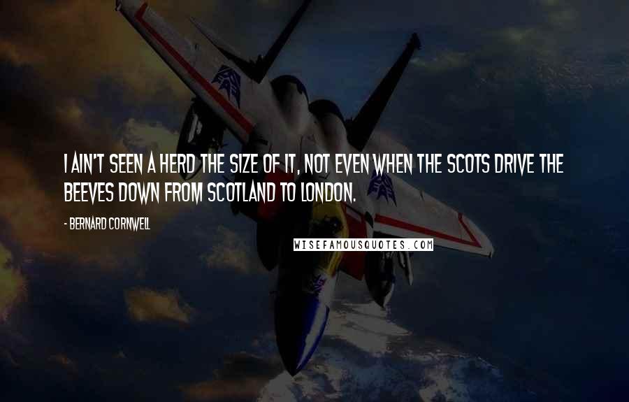 Bernard Cornwell Quotes: I ain't seen a herd the size of it, not even when the Scots drive the beeves down from Scotland to London.