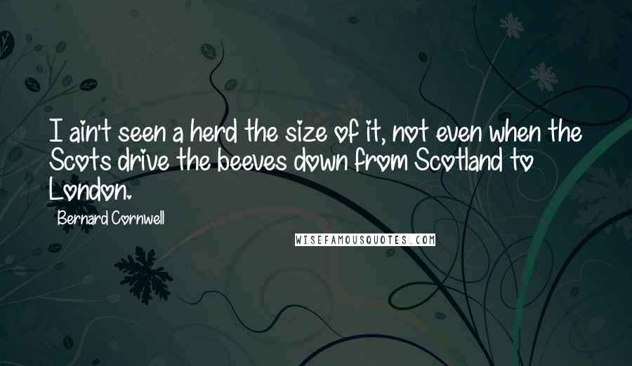 Bernard Cornwell Quotes: I ain't seen a herd the size of it, not even when the Scots drive the beeves down from Scotland to London.