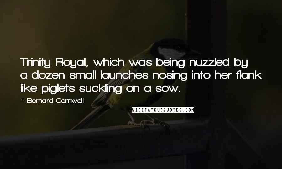 Bernard Cornwell Quotes: Trinity Royal, which was being nuzzled by a dozen small launches nosing into her flank like piglets suckling on a sow.