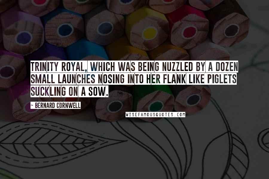 Bernard Cornwell Quotes: Trinity Royal, which was being nuzzled by a dozen small launches nosing into her flank like piglets suckling on a sow.