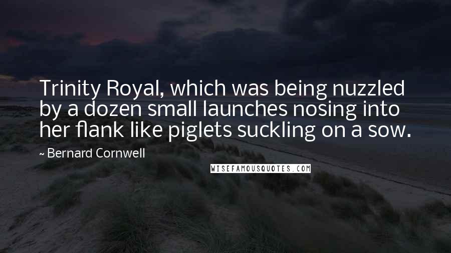 Bernard Cornwell Quotes: Trinity Royal, which was being nuzzled by a dozen small launches nosing into her flank like piglets suckling on a sow.