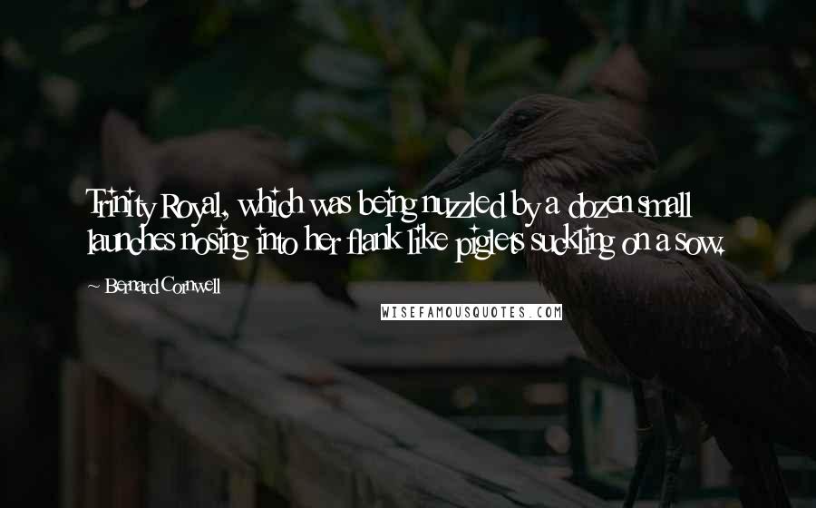 Bernard Cornwell Quotes: Trinity Royal, which was being nuzzled by a dozen small launches nosing into her flank like piglets suckling on a sow.