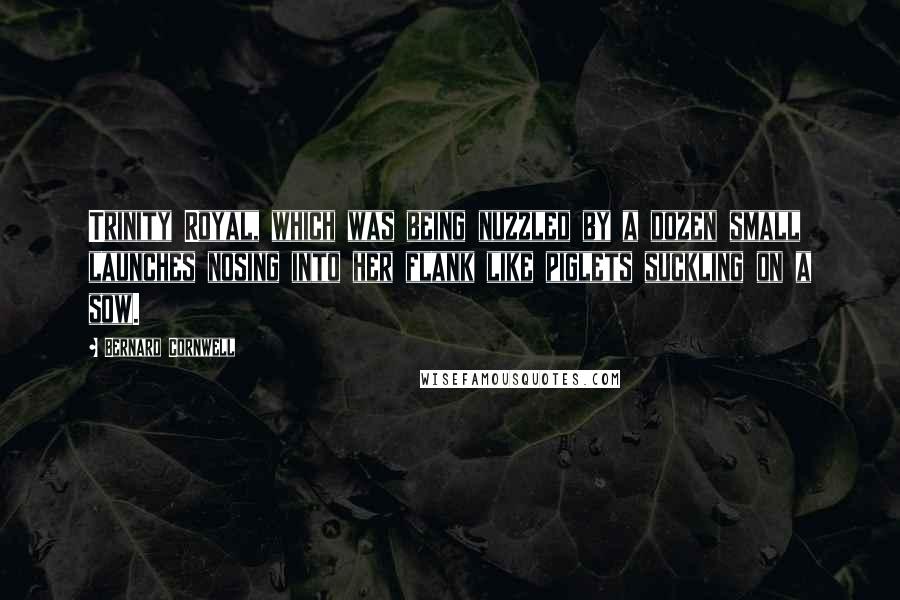 Bernard Cornwell Quotes: Trinity Royal, which was being nuzzled by a dozen small launches nosing into her flank like piglets suckling on a sow.