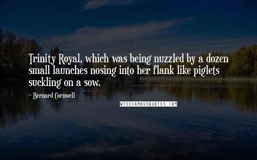 Bernard Cornwell Quotes: Trinity Royal, which was being nuzzled by a dozen small launches nosing into her flank like piglets suckling on a sow.