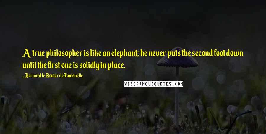 Bernard Le Bovier De Fontenelle Quotes: A true philosopher is like an elephant; he never puts the second foot down until the first one is solidly in place.