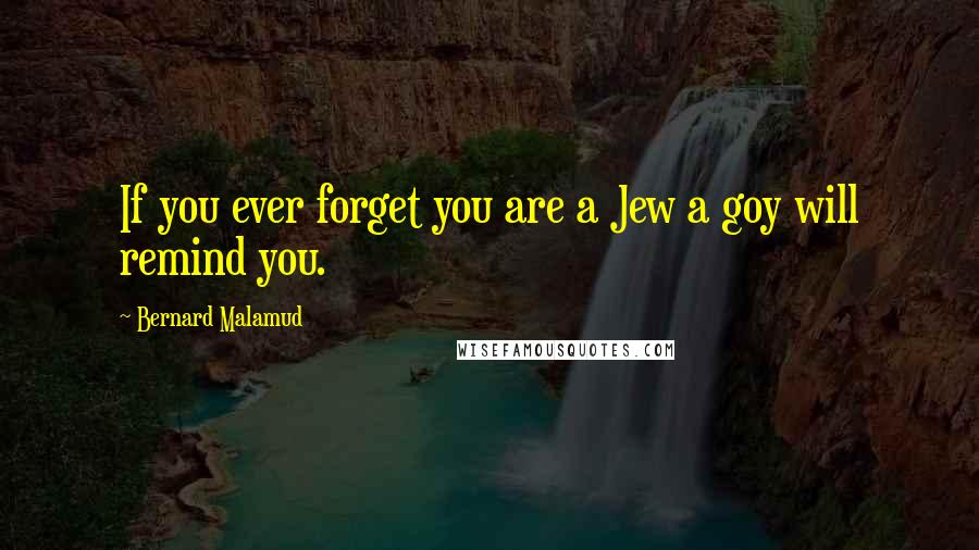 Bernard Malamud Quotes: If you ever forget you are a Jew a goy will remind you.